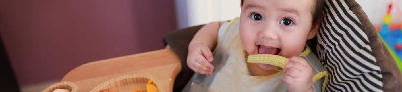 9 Pilihan Finger Food untuk Bayi dan Pilihan Makanannya